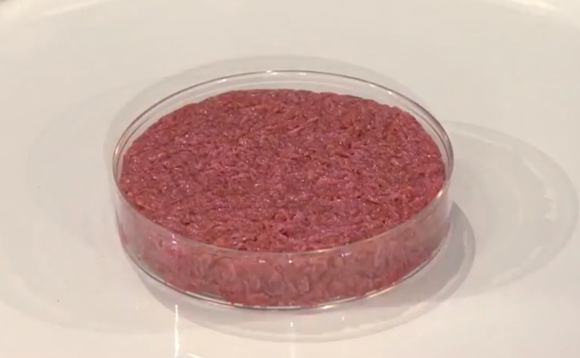 Australia cultured meat start-up gets $49m Series A