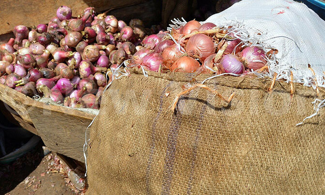 Red onion supply low, garlic prices stable Red onion supply low, garlic prices stable