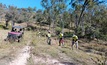 An IP survey crew at Mt Rawdon West. Credit: Killi