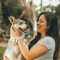 Pet guardians are increasingly worried about the mental health of their dogs and cats