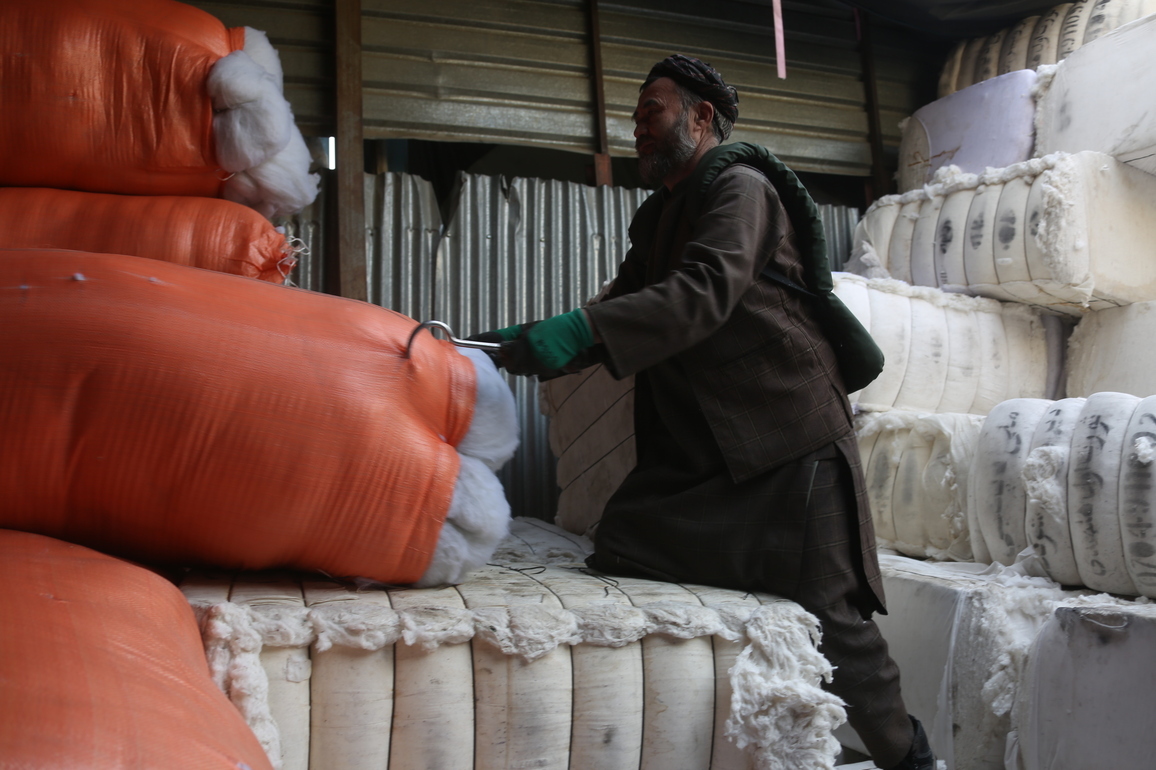 AFGHANISTAN-COTTON-YEARLY HARVEST