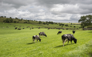 Welsh farming family call out 'heart-wrenching' bTB slaughter policy