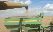 Harvesting after frosts and floods