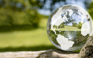 Advisers remain optimistic despite uncertainty