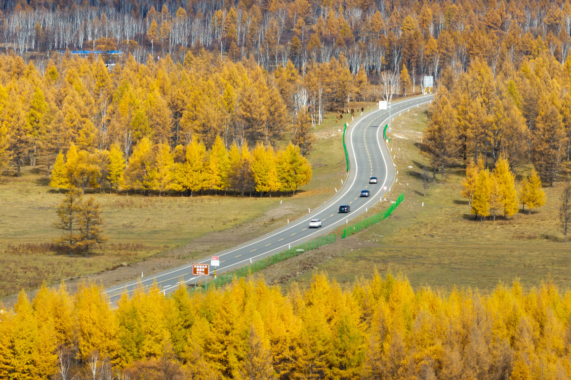 CHINA-INNER MONGOLIA-HINGGAN LEAGUE-AUTUMN SCENERY (CN)