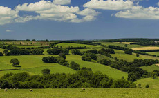 Government accused of having 'deliberate agenda' to undermine family farms