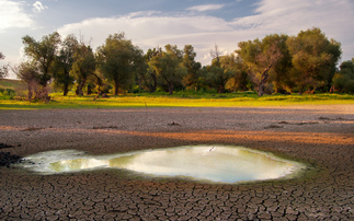 Why water is critical for business resilience