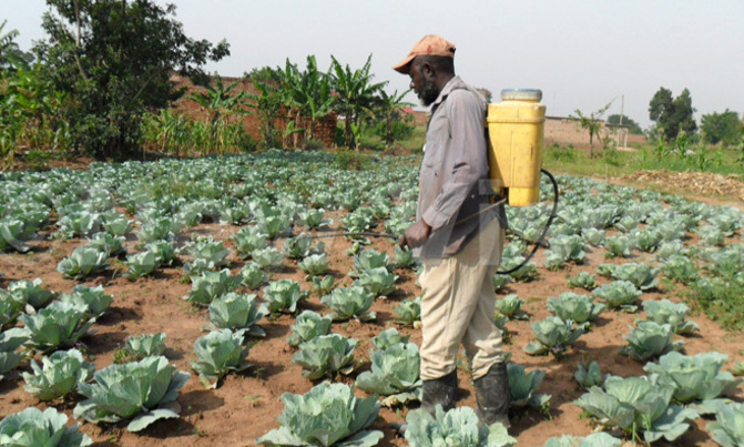 Uganda to host East African agriculture meet Uganda to host East African agriculture meet