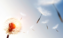 Can dormant assets energise ESG efforts?