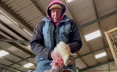 Gareth Wyn Jones receives death threats over educational lambing video