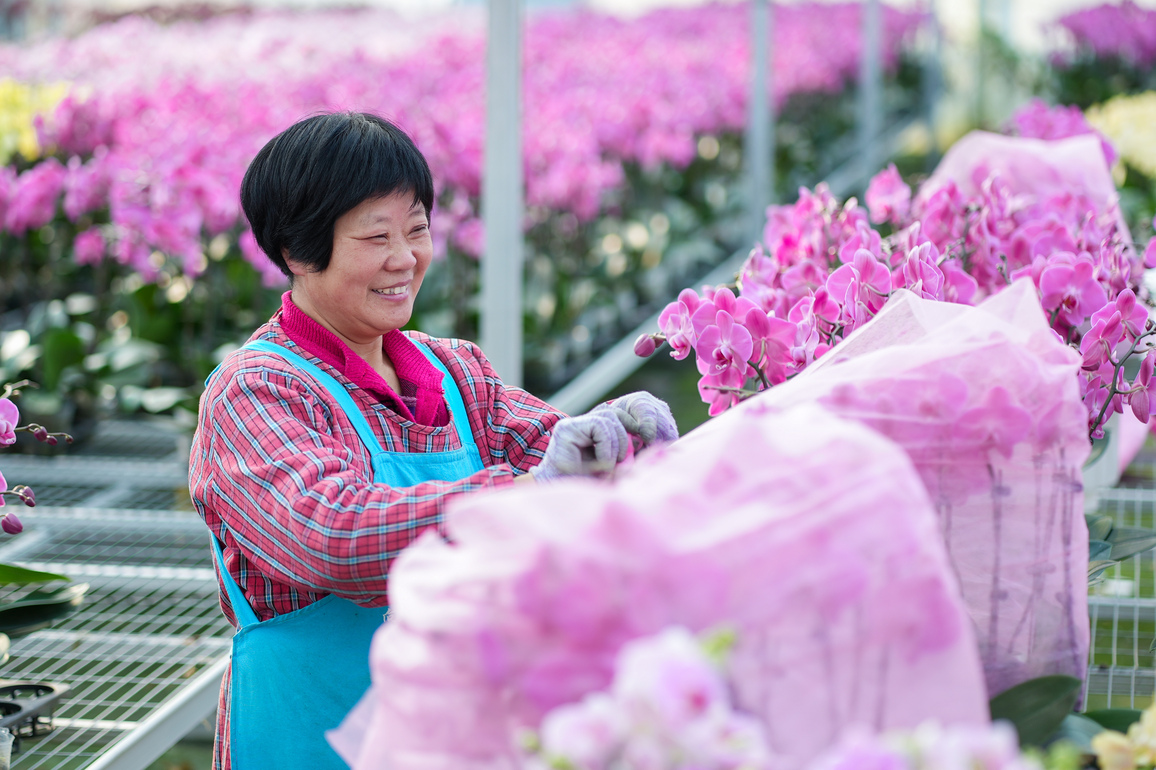 #CHINA-SPRING FESTIVAL-PREPARATION (CN)