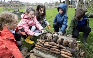 Why businesses should be worried about a lack of access to nature in schools