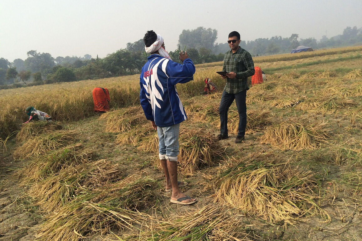 From Soil to Soul: How Anuraj Rana's ASAVI is Resurrecting India's 'Stone-Ground' Heritage to Combat a Modern Health Crisis
