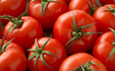 Verlinvest buys 24.5% of Mutti