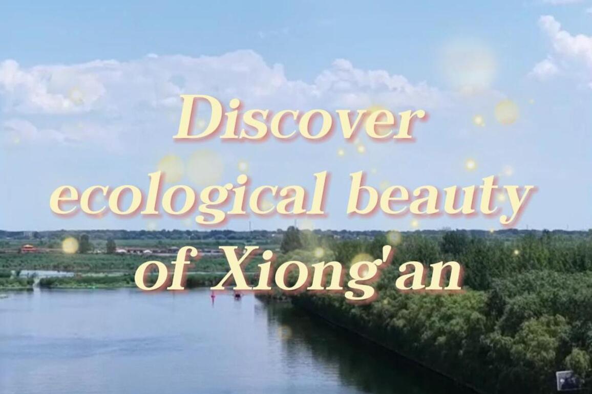 60"FlyOverChina | Discover ecological beauty of Xiong'an