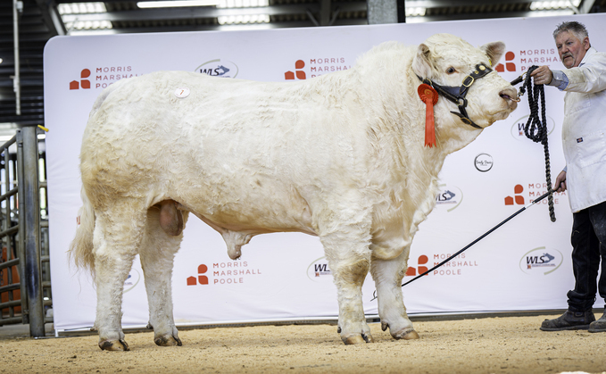 Solo Velocity, 16,000gns