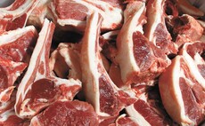 Levy boards to share £3.5m funding pot to promote red meat