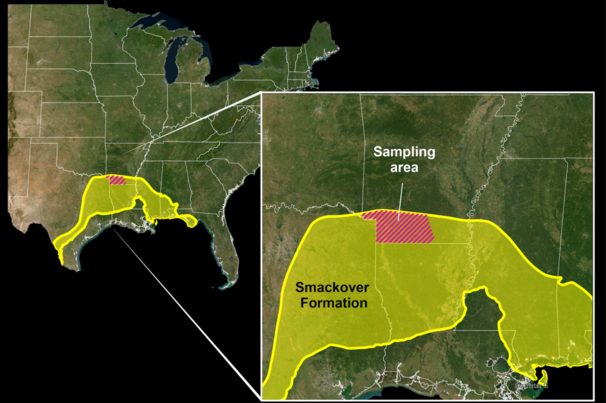 The Smackover formation 