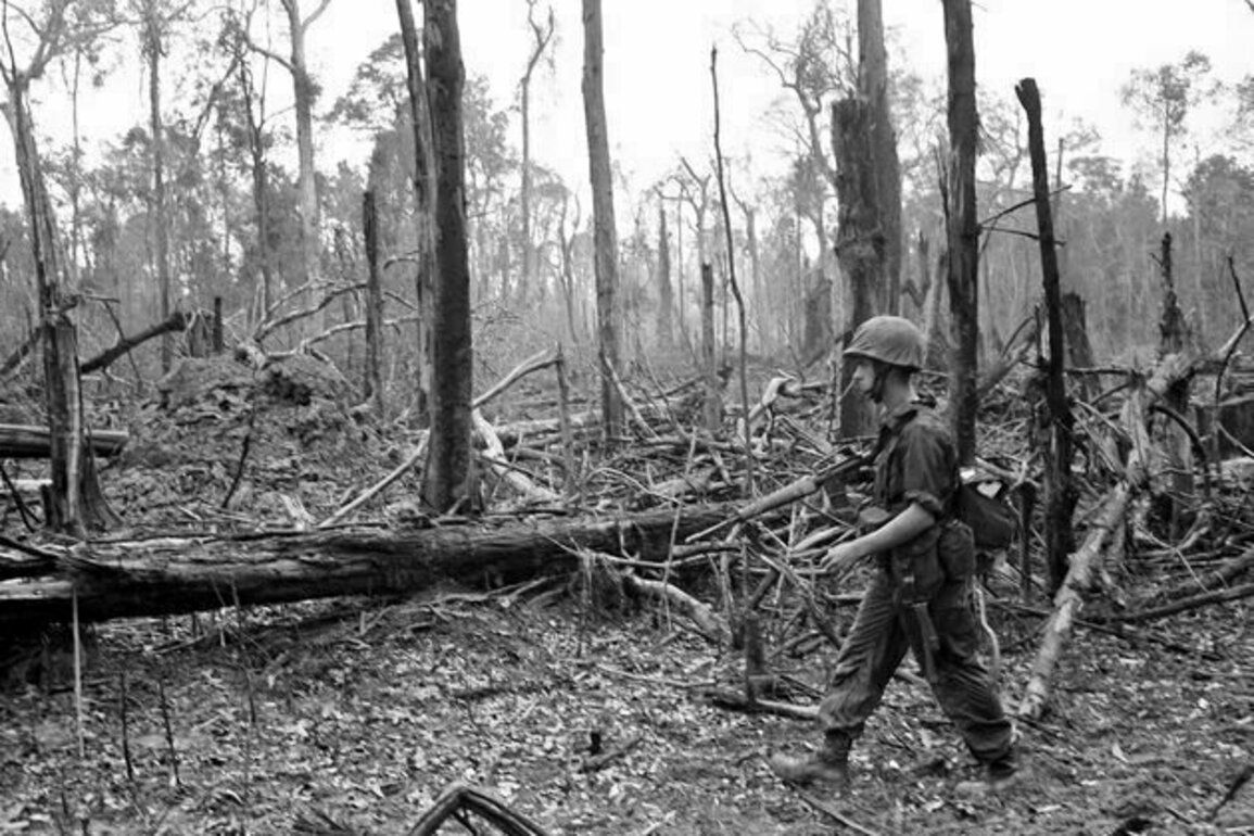 50 years later, Vietnam's environment still bears the scars of war - and signals a dark future for Gaza and Ukraine
