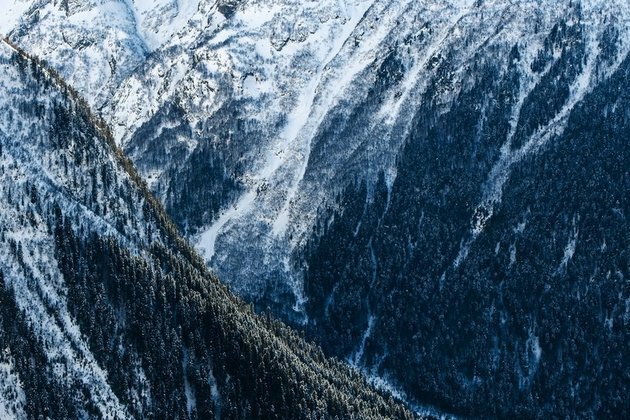 World Bank explains how Russia will fare in green energy age