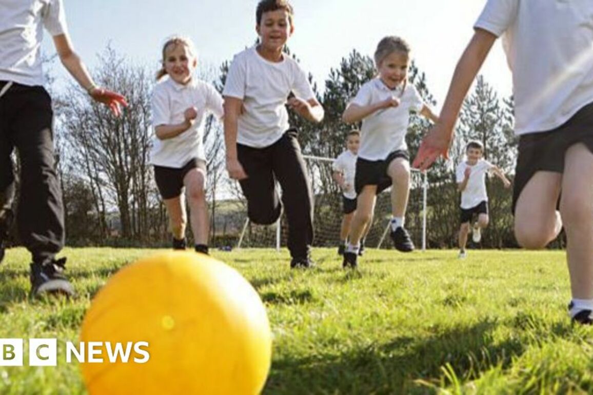 Ban 'no ball games' signs to get children off devices, play experts say