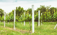 Poll: Brits of 'all political stripes' are nature-lovers