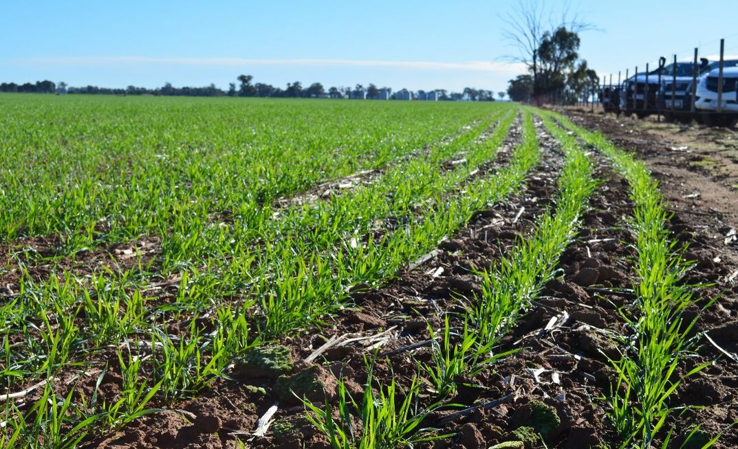 Experts say a considered approach is required when it comes to farm management and soil carbon.