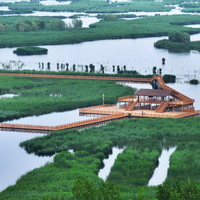 (FlyOverChina) CHINA-HEBEI-XIONG'AN-BAIYANGDIAN LAKE-EARLY SUMMER-SCENERY (CN)