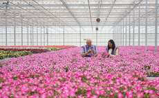 The sweet smell of circularity: Unilever turns unwanted flowers into fragrance feedstocks