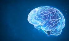 Mental health issues cost companies millions of dollars