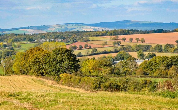 'Stepping stone' scheme will not help farmers prepare for ELMs, say green groups