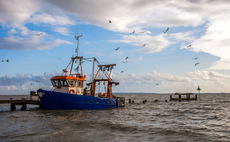 'Spatial conflict': Study proposes guidelines for compensating fishermen impacted by offshore wind development