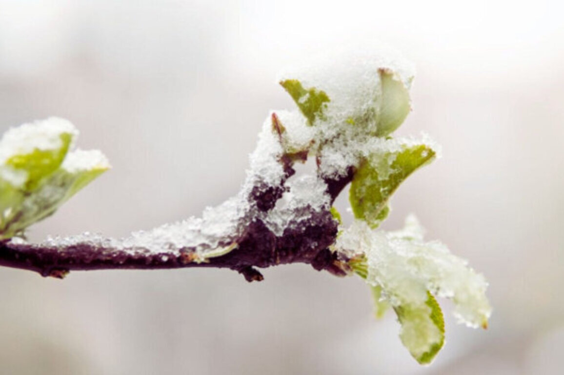 Yellow Code Frost Warning Hits 10 Regions in Bulgaria on Tuesday
