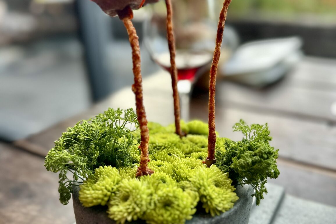 The Art of Plating - Park Record