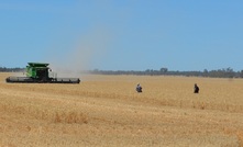  Labour shortages at key times such as harvest remain an issue for farmers. Picture Mark Saunders.