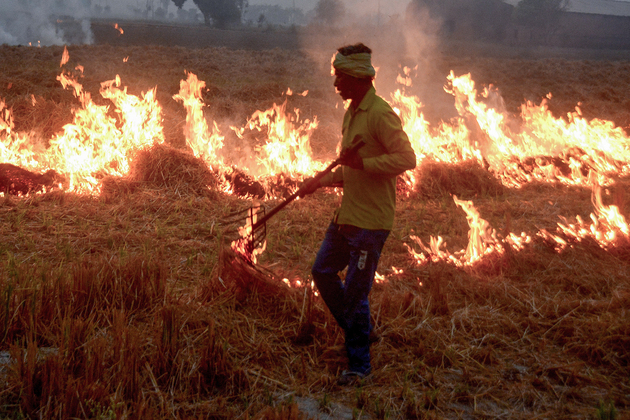 Punjab records 3,284 stubble burning from Sept 15 to Nov 6, Haryana witnesses 206