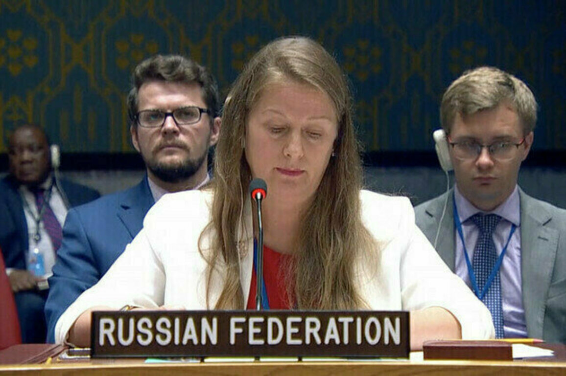 Moscow seeks African solidarity against Russophobia