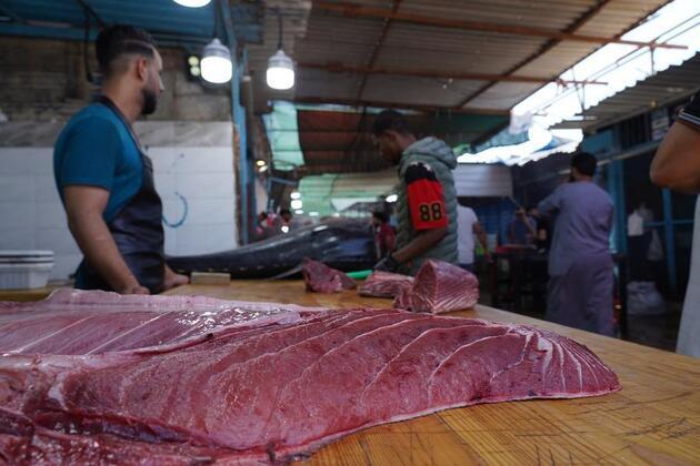 Libya's peak tuna season revitalizes markets, sustains fisheries sector