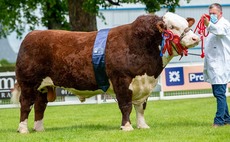 RHS21: Moralee leads Royal Highland native judging