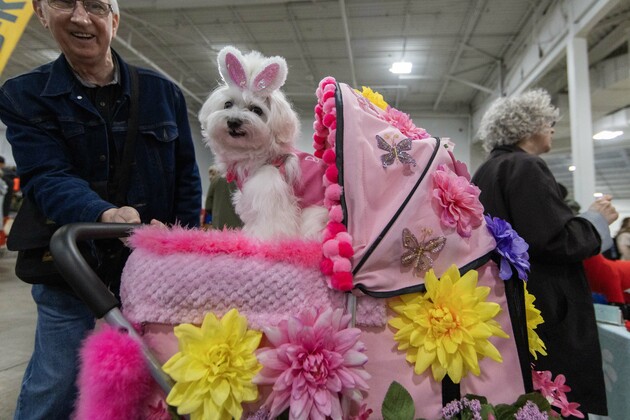 CANADA-MISSISSAUGA-SPRING CANADIAN PET EXPO