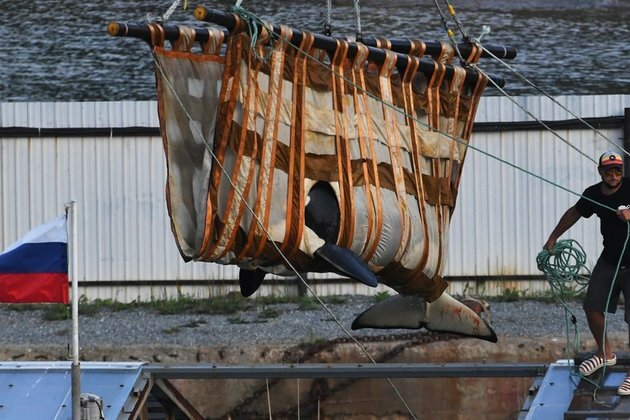 Russia completes closure of secretive whale jail