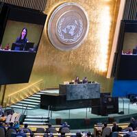 Explainer: Why Germany failed in UN Security Council membership race