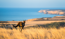  Kangaroo Island resident