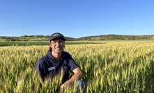 DPIRD senior research scientist Martin Harries has led an extensive field study looking at how water use efficiency is affected by the use of break crops to interrupt continuous wheat-on wheat paddock setups. 