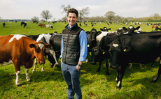 McDonald's teams up with Arla Foods for nature-led sustainability drive