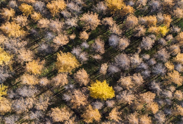【AZ】from Air terjun Gunung Puis(green)大株 highlights2025buhaysekyugayak.