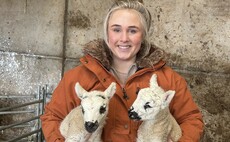 Young Farmer Focus - Megan Beswick: "The next generation are going to be the backbone of this fantastic industry"