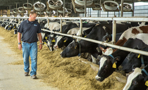 From Soil to cup: The US family partnership running one of Ohio's most transparent dairies