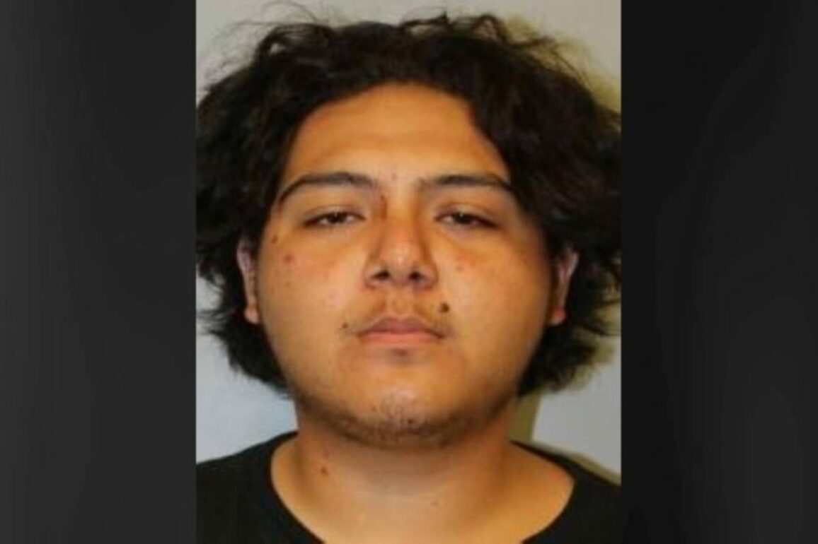 Hawaii Island police officer, fearing for his life, shoots at car careening toward him