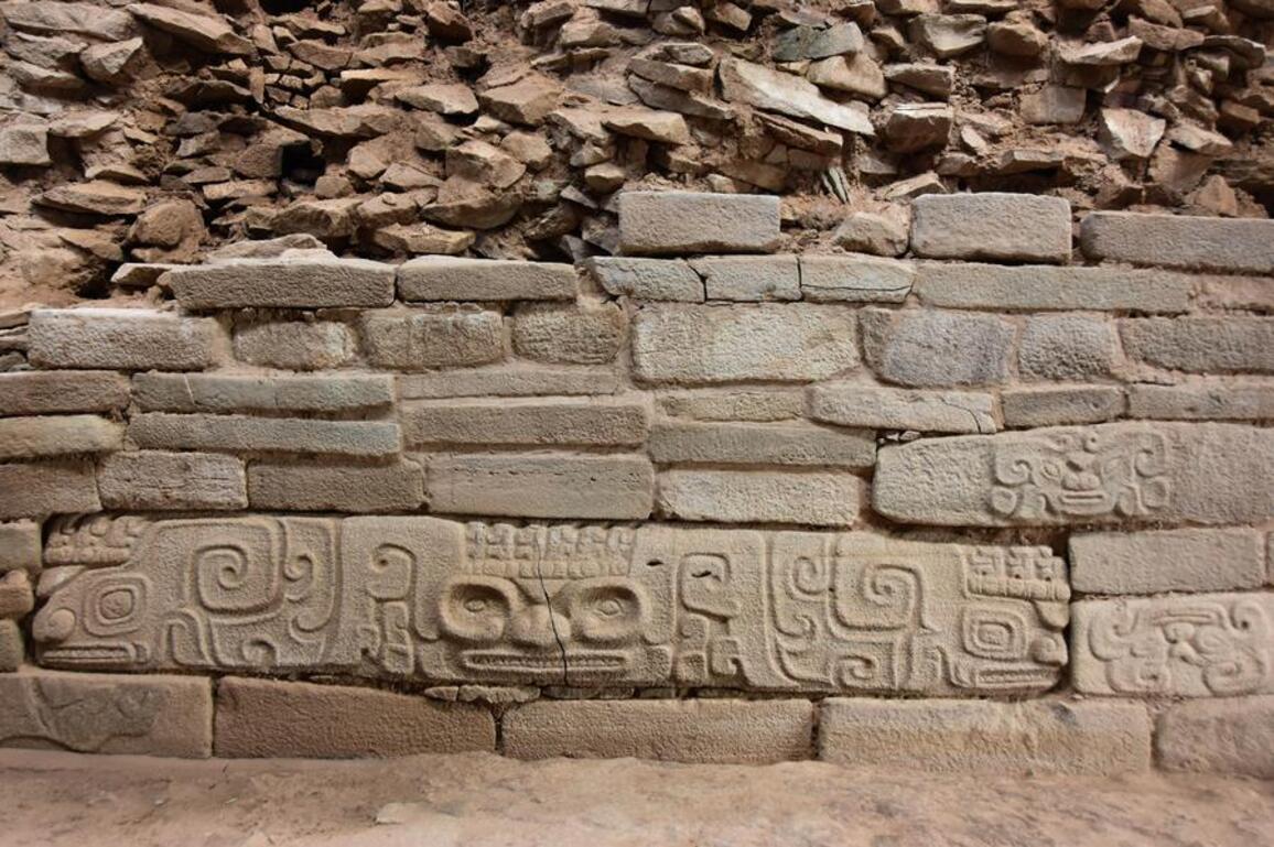 Ancient DNA reveals kinship, social structure of China's prehistoric Shimao city